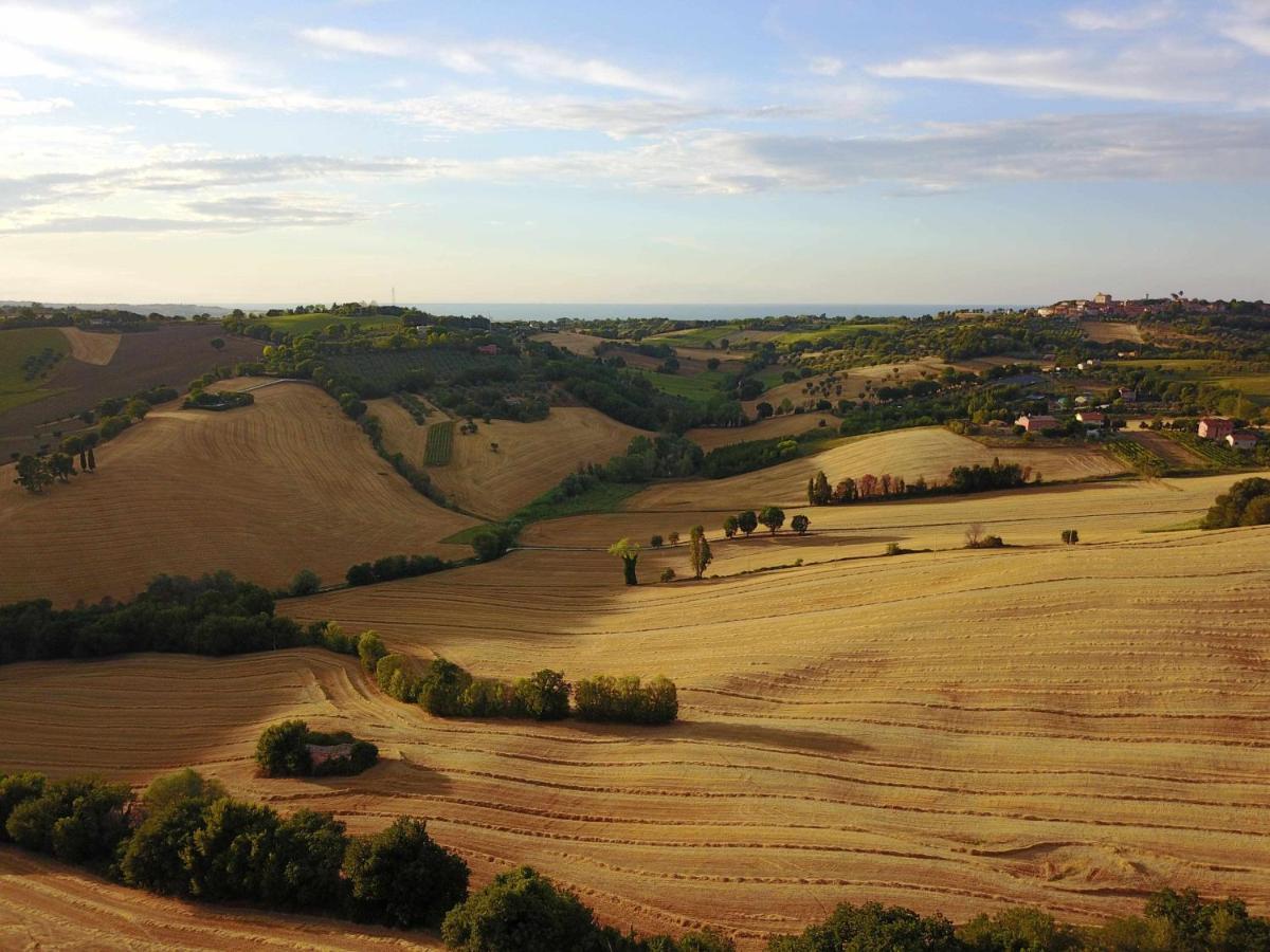 La Meriggia Agriturismo- Ampio Appartamento Con Terrazza Esclusiva Ancône Extérieur photo