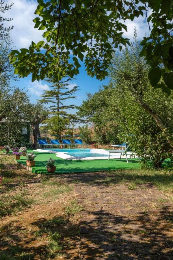 La Meriggia Agriturismo- Ampio Appartamento Con Terrazza Esclusiva Ancône Extérieur photo