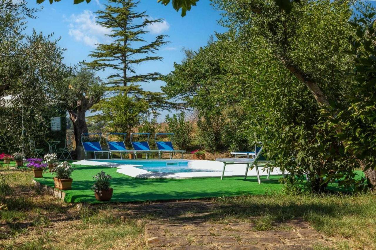 La Meriggia Agriturismo- Ampio Appartamento Con Terrazza Esclusiva Ancône Extérieur photo